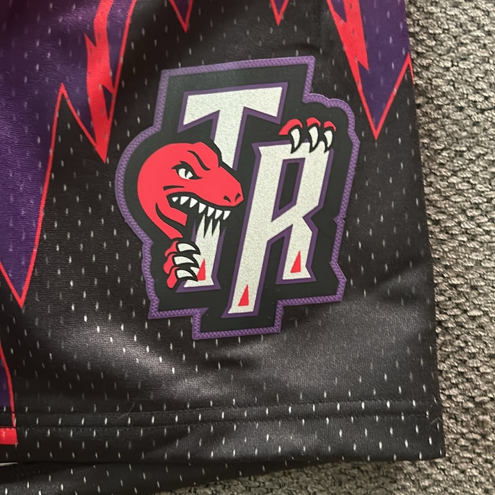 Mitchell & Ness Toronto Raptors Swingman shorts - Picture 3 of 7